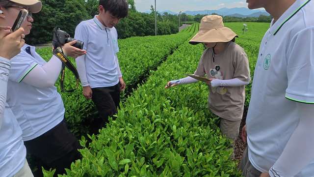 4.社会实践 袁琳老师在茶园间指导.png